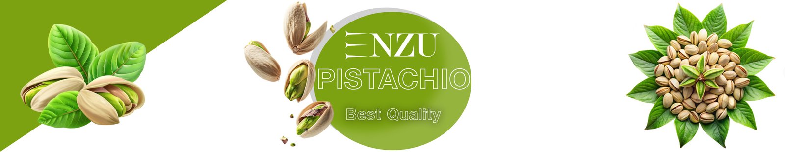enzu pistachio